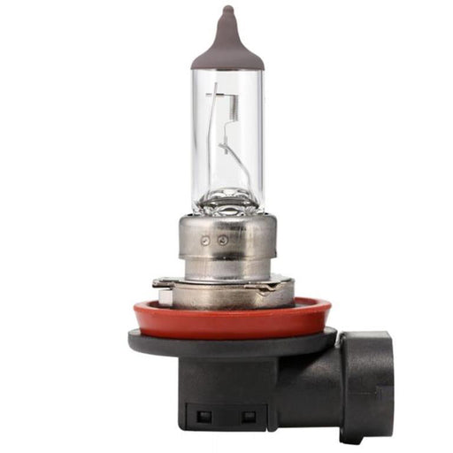 Scharnberger+Hasenbein - Fahrzeuglampe Autolampe Halogen H11 81155 H11 PGJ19-2 12V 55W