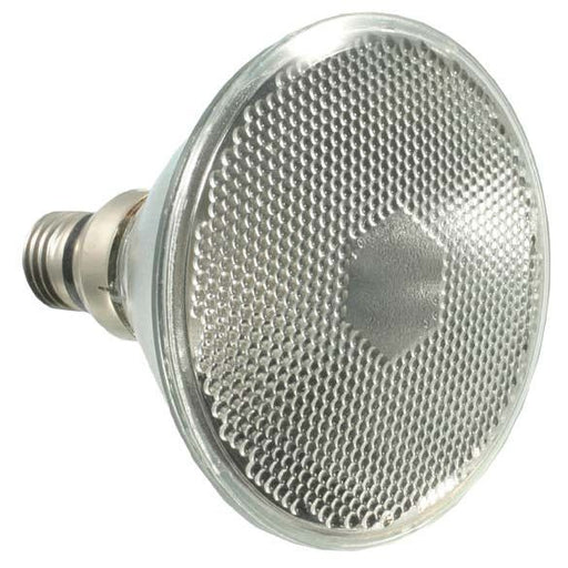 Scharnberger+Hasenbein - Hochvolt-Halogenlampe mit Reflektor Halogenlampe PAR38 122x135 12964 E27 220-230V75Wflood