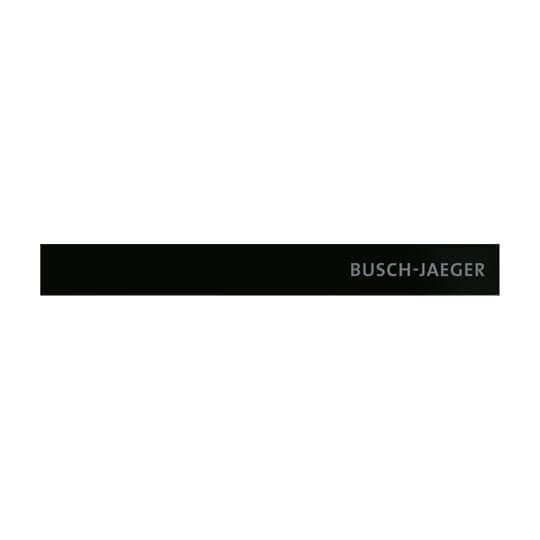Busch-Jaeger - Bussystem-Physikalischer Sensor Abschlussleiste unten 6352-825-101 Temp.fühler m.Kennz