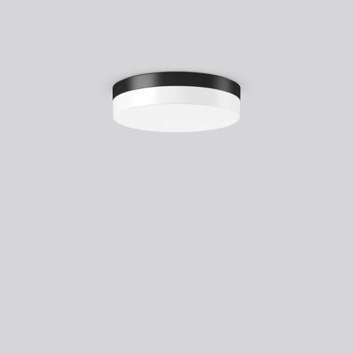 RZB - Sicherheitsleuchte Wand-u.Deckenleuchte 672648.0031 EB3h, ML, MC