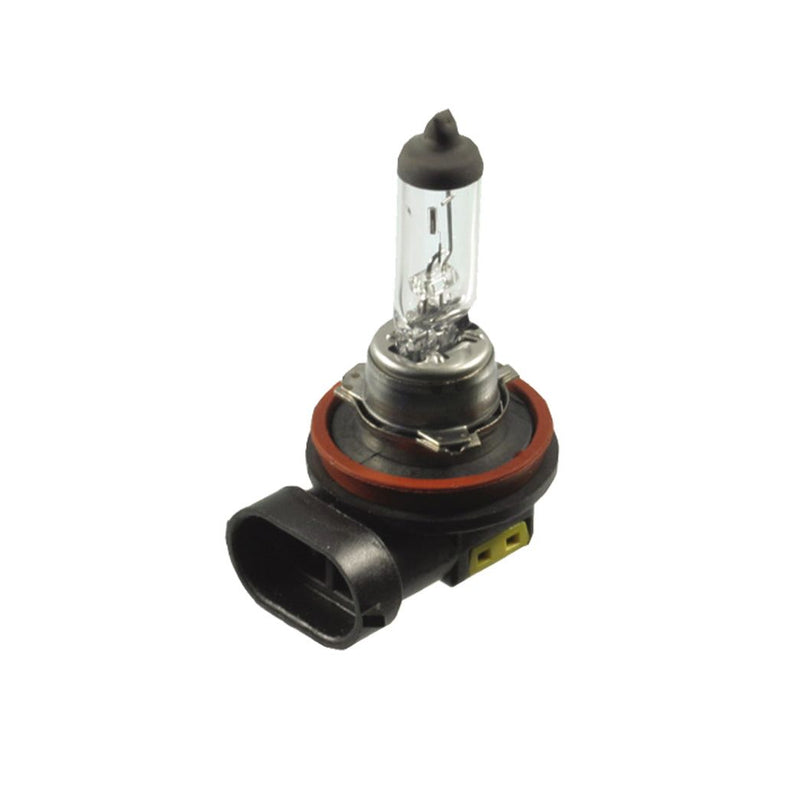 Scharnberger+Hasenbein - Fahrzeuglampe Autolampe Halogen H8 81150 H8 PGJ19-1 12V 35W