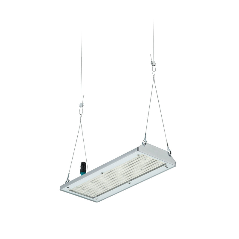 Philips Lighting - Hallen-Reflektorleuchte LED-Hallenleuchte BY580P 170 #59415900 4000K, DIA