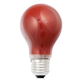 Scharnberger+Hasenbein - Allgebrauchsglühlampe Standard Allgebrauchslampe B60x105 40240 E27 230V 15W rot