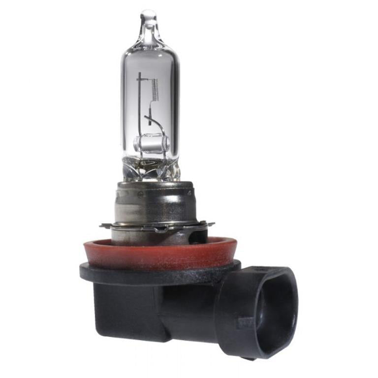 Scharnberger+Hasenbein - Fahrzeuglampe Autolampe Halogen H9 81151 H9 PGJ19-5 12V 65W  − 1 Stück