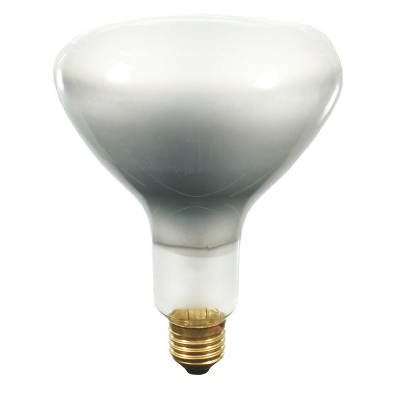 Scharnberger+Hasenbein - Studio-, Projektions- und Fotolampe Nitraphot-Glühlampe 65061 SR E27 230V250W P1/5