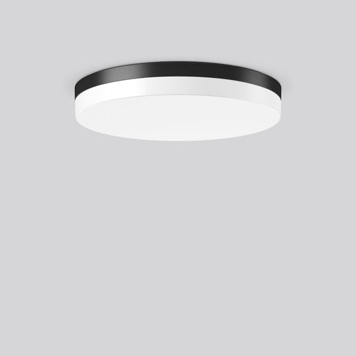 RZB - Sicherheitsleuchte Wand-u.Deckenleuchte 672653.0031.1 EB3h, ML, MC