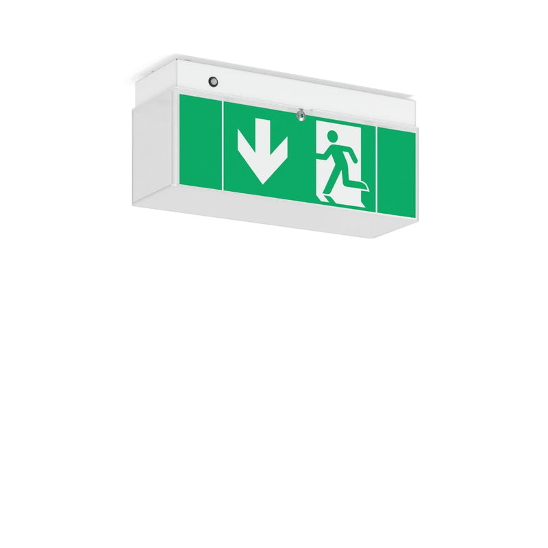 RZB - Sicherheitsleuchte LED-Notleuchte 672190.002.89