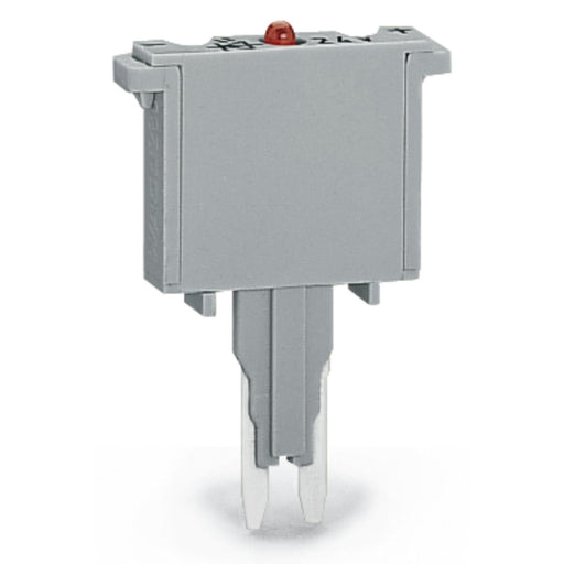 WAGO - Bauelementestecker Sicherungsstecker 280-856/281-415 Leuchtanzeige,grau − 100 Stück
