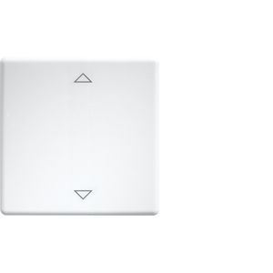 Eltako - Abdeckung/Bedienelement für Installationsschalterprogramme Wippe lasergraviert W-FT55-rw+2P f.55x55mm rws