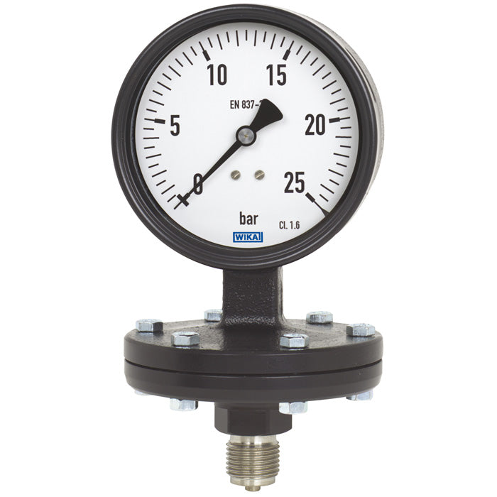 Wika Wiegand - Membranmanometer Plattenfedmano 422.12.100 9052500 Graugu 160mbar G1/2B