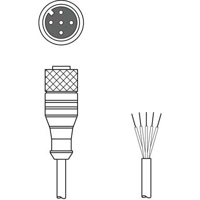 Leuze - Konfektioniertes Sensor-Aktor-Kabel Anschlussleitung KD U-M12-5A-V1-300