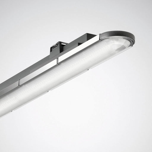 Trilux - Decken-/Wandleuchte LED-Feuchtraumleuchte Nextrema G3 #6631451 B 6000-840ETDD+HFSBL