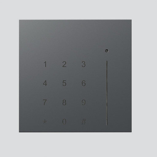 Siedle&Söhne - Funktionsmodul für Türkommunikation readID MIFARE for Siedle SE 1045 DBKT DG