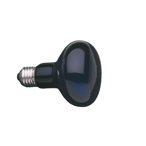 Scharnberger+Hasenbein - Allgebrauchsglühlampe Standard Schwarzlichtlampe 80x103mm 40883 E27 240V 75W