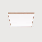 Lightnet - Decken-/Wandleuchte LED-Anbauleuchte CA9OEE-830M-Q500 3000K, silber