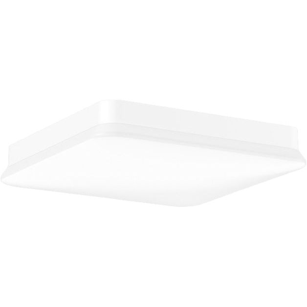 RZB - Sicherheitsleuchte LED-Wand-u.Deckenleuchte 672837.002.1 ZB