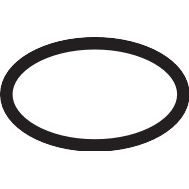Hansgrohe - O-Ring 15x1,5mm 92118000