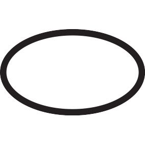 Hansgrohe - O-Ring 23x2mm