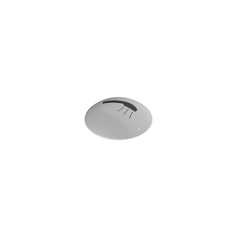 Dornbracht Symbolplatte Handbrause DORNBRACHT # 09.26.01.029.90
