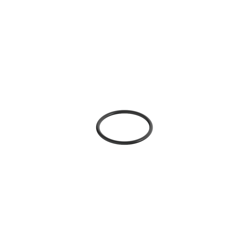 Dornbracht - O-Ring Ersatzteil 091410098 22,0x1,6mm