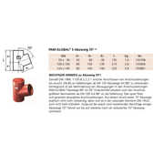 Fornatis - Abzweig DN 50x50 70 Grad