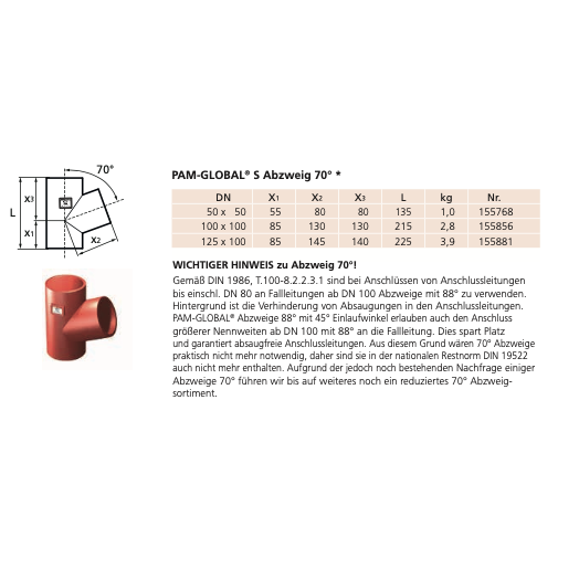 Fornatis - Abzweig DN 50x50 70 Grad