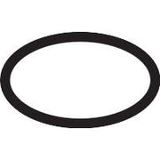 Hansgrohe - O-Ring 16x2mm