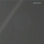 Geberit Vertriebs - Typ 40 UR-Strg. m. elektron. Sp-Ausl. Netz.-Betr., Round, Glas schwarz