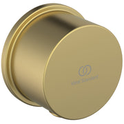 Ideal Standard - Wandanschlussbogen IDEALRAIN, f.Brauseschlauch G1/2, Brushed Gold