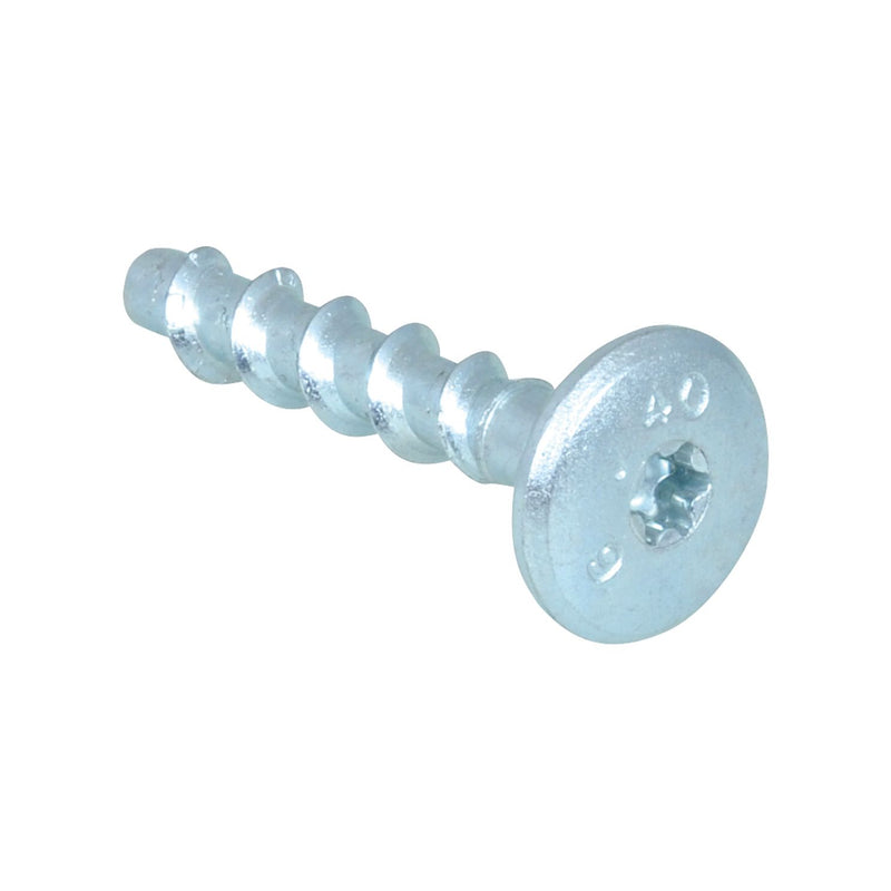 Walraven - TSM-Linsenkopfschraube 6253006 B6x60/TX 30 ohne Dübel, p. Stück