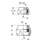 SCHELL - Konus-Quetschverschraubung 8mm DN15 (1/2) komplett chrom