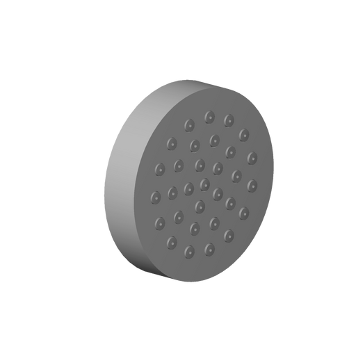Dornbracht - Sprayface Ersatzteile 90120502800 D. 55 x 12 mm chrom