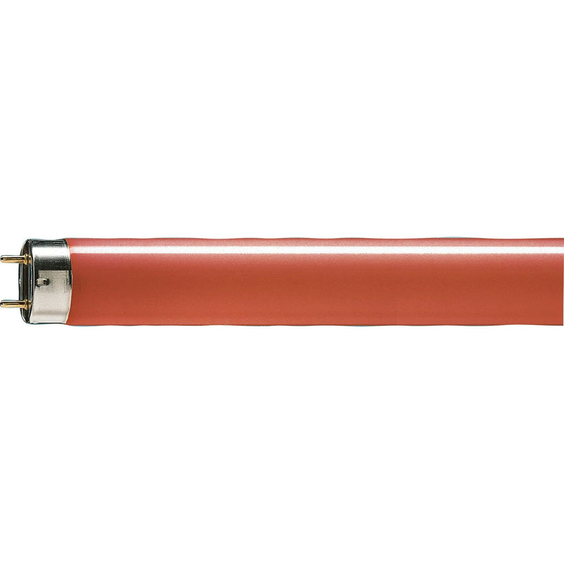 Philips Lighting - Leuchtstofflampe TL-D 36W/15 36W rot
