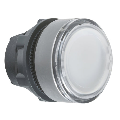 Schneider Electric - Frontelement für Drucktaster Frontelement ZB5AHCUST03 Harmony XB5 22mm