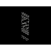 Rittal - Seiten-/Rückwand (Schaltschrank) EMV-Seitenwand VX 8106.760 (VE2) RAL 7035