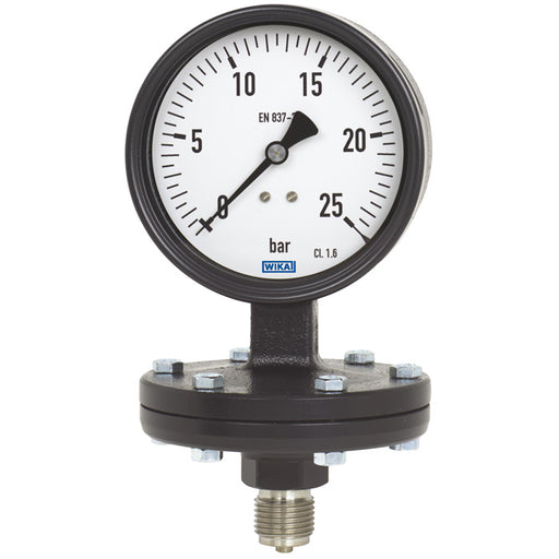 Wika Wiegand - Membranmanometer Plattenfedmano 422.12.100 9062483 Graugu -1bar G1/2B