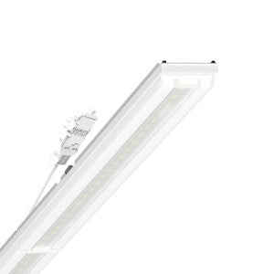Regiolux - Geräteträger für Lichtbandsystem LED-Geräteträger IP64 SRGSVCG #19577006690 840, DALI2