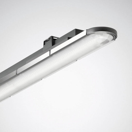 Trilux - Decken-/Wandleuchte LED-Feuchtraumleuchte Nextrema G3 #7363651 4000K DALI anthr.