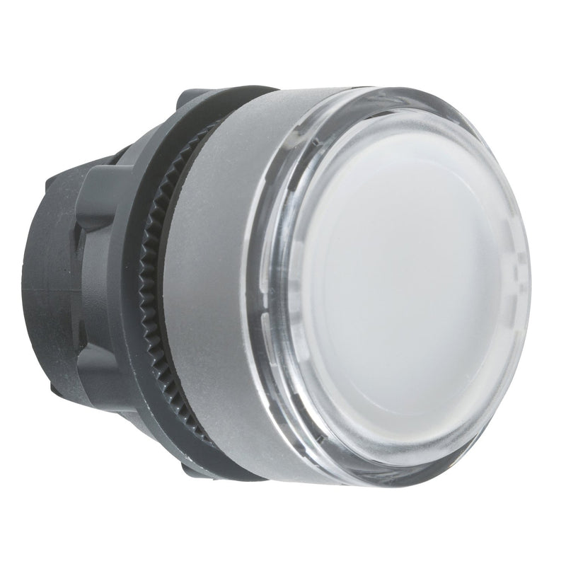Schneider Electric - Frontelement für Drucktaster Frontelement ZB5AHCUST03 Harmony XB5 22mm