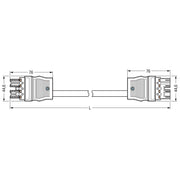WAGO - Konfektionierte Leitung für steckbare Gebäudeinstallation Verbindungsleitung konfek. 771-5002/2021-2001 CCA Buchse Stecker − 1 Stück