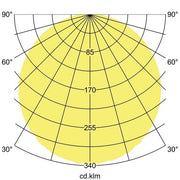 Brumberg Leuchten - Decken-/Wandleuchte LED-Wandanbauleuchte 230V 10136183 3000/4000/5700K