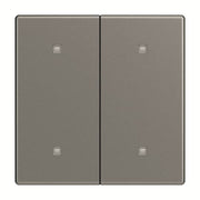 Busch-Jaeger - Abdeckung/Bedienelement für Installationsschalterprogramme Wippe 2-fach 2570-20-803 Elektroniktaster