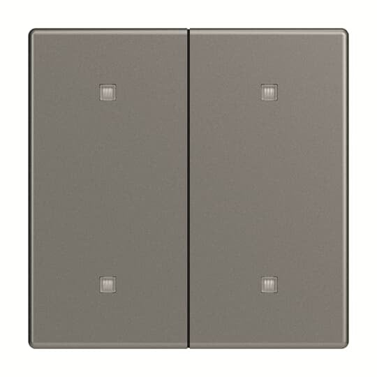 Busch-Jaeger - Abdeckung/Bedienelement für Installationsschalterprogramme Wippe 2-fach 2570-20-803 Elektroniktaster
