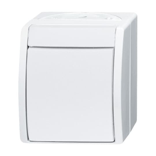 Busch-Jaeger - Installationsschalter Ausschalter 2601/2 W-54