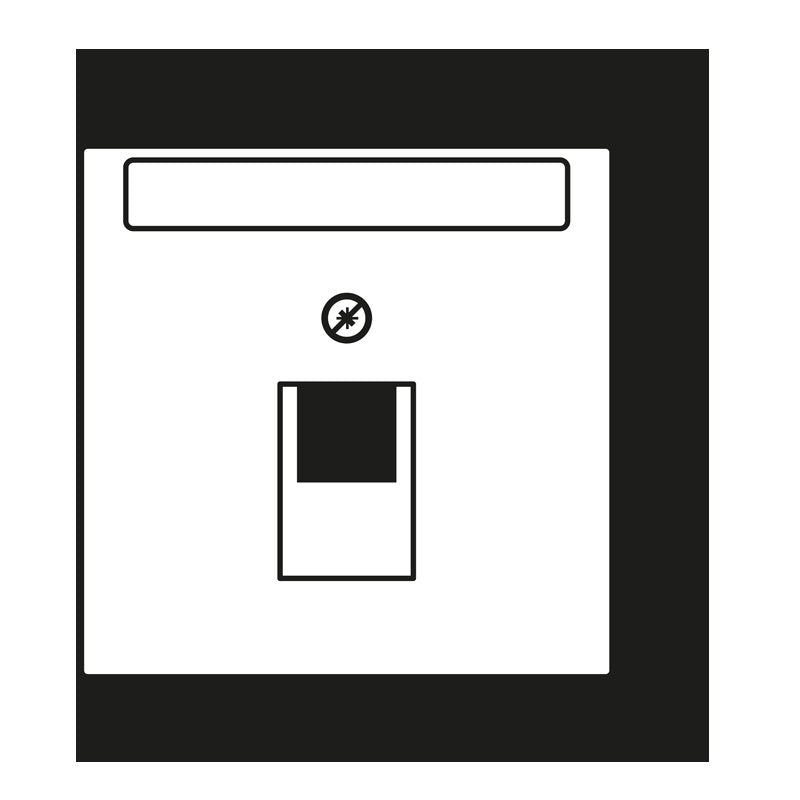 Jung - Einsatz/Abdeckung für Kommunikationstechnik Abdeckung für IAE/UAE LC 969-1 NAUA 256