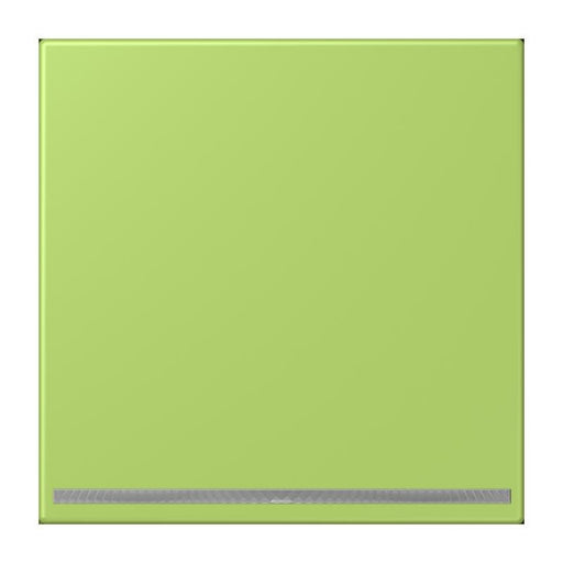 Jung - Orientierungsleuchte LED-Orientierungslicht LC 1539-OO LNW 221 vert clair (32052)