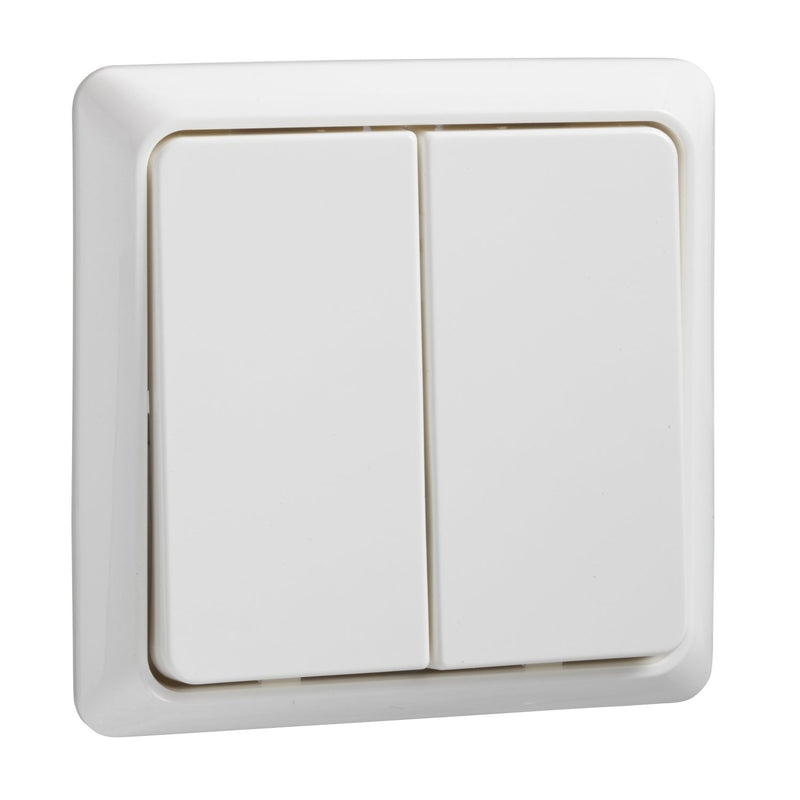 Elso - Taster Doppeltaster rw 506254 Aufbau 1A/42V