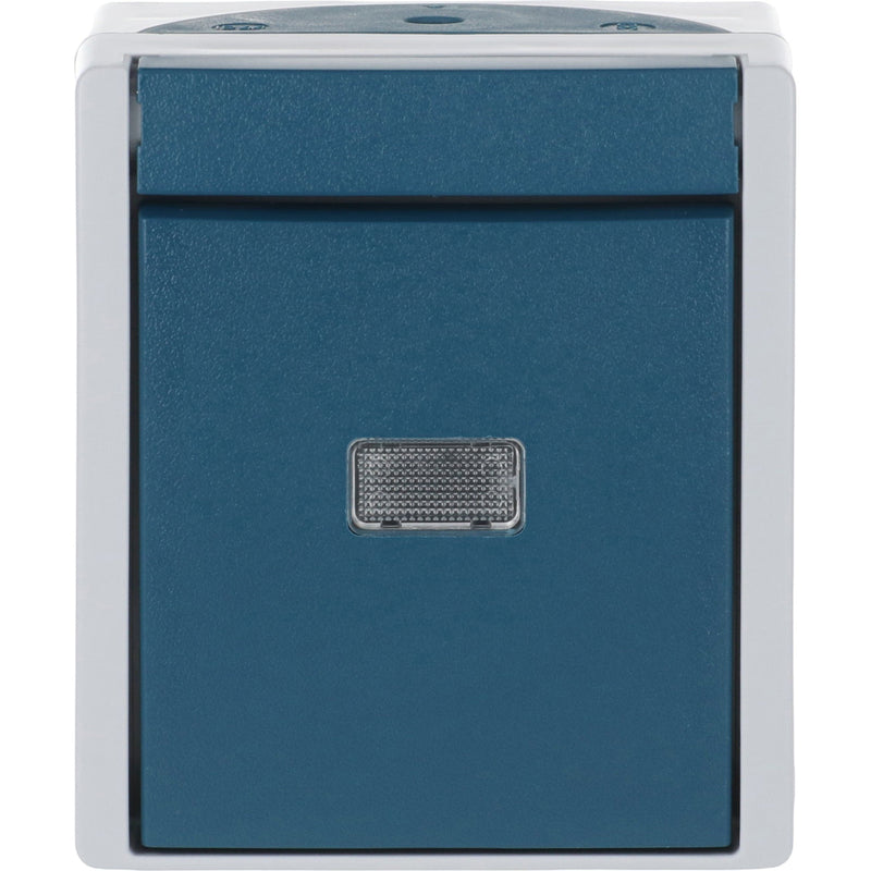 Busch-Jaeger - Taster 2621 W-53-206 Wechsler, AP
