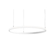 Brumberg Leuchten - Pendelleuchte LED-Pendel-Ringleuchte 84070174CA 4000K, Casambi
