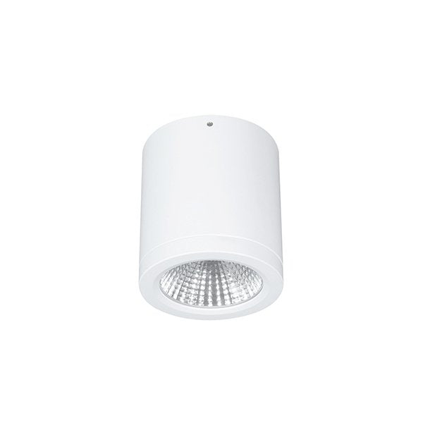 LTS Licht&Leuchten - Downlight/Strahler/Flutlicht LED-Anbau-DownlightButton BTNM 101.30.55 ws 3000K 55°weiß